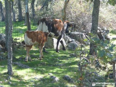 Vuelta al Senderismo-Valle Lozoya; sitios para visitar en madrid excursiones montaña valle de el pau